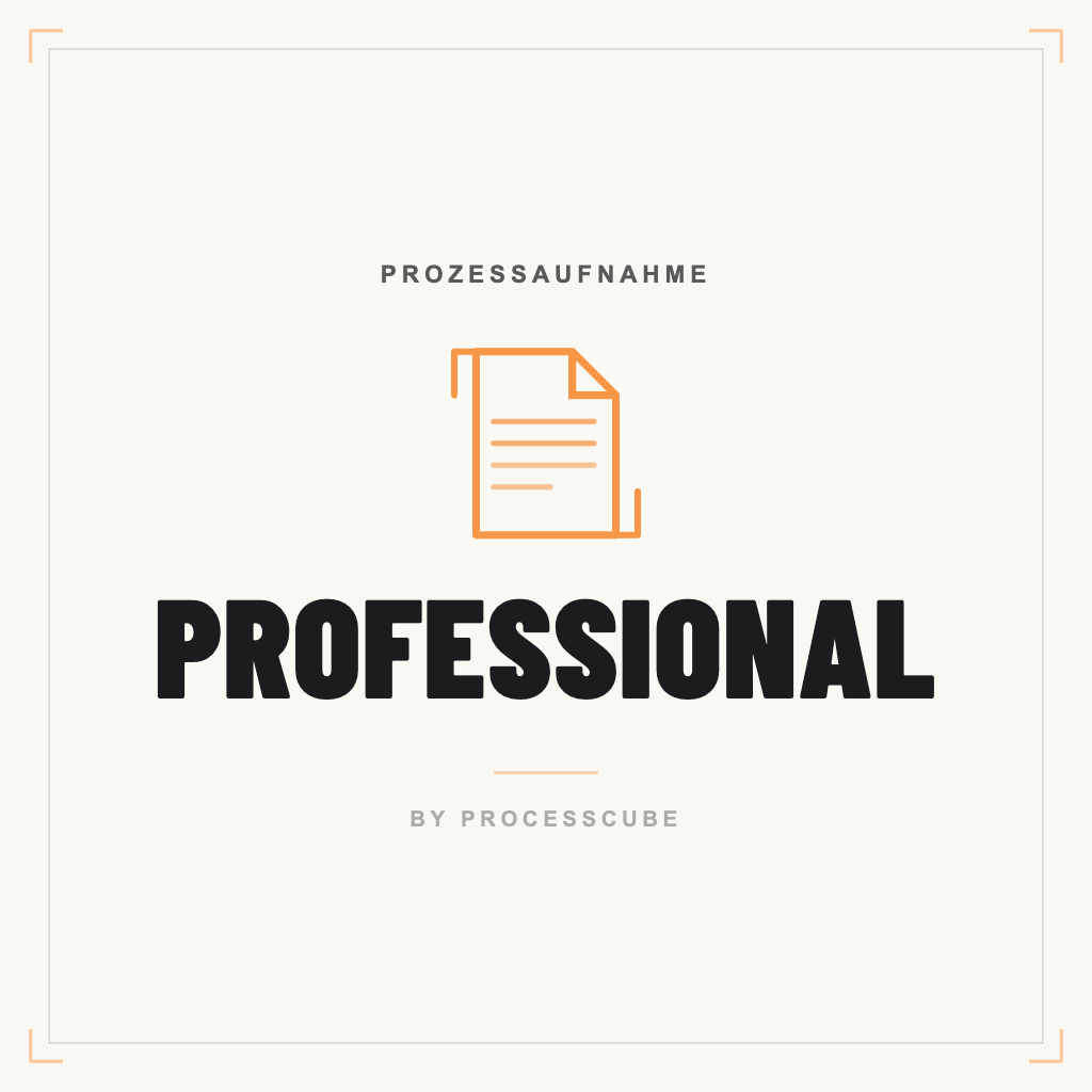 Prozessaufnahme Professional