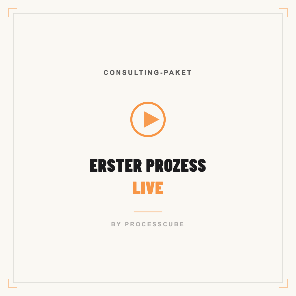 Consulting-Paket: Erster Prozess live (5 Tage)